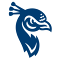 Saint Peter's Peacocks