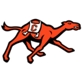 Campbell Camels