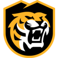 Colorado College Tigers